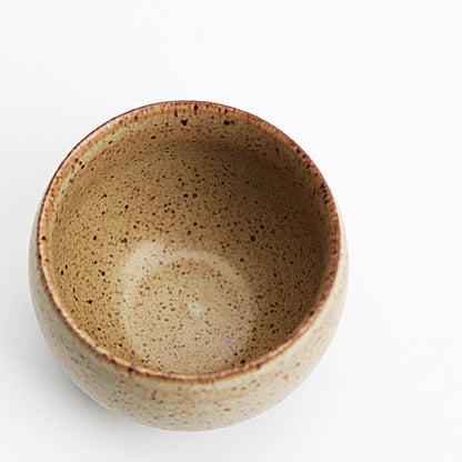 Japanese Ceramic Tea Cup | Handmade Hantao Style Fall Pattern Green Tea Cup (120ml)